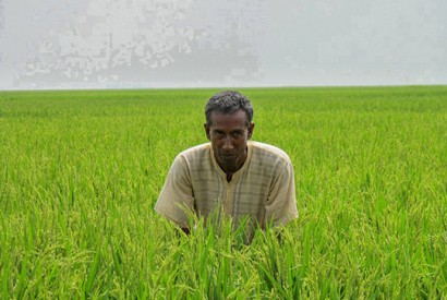 The cause of hunger in the world is not a shortage of food but rather the access to food. Photo: Todd Post/Bread for the World