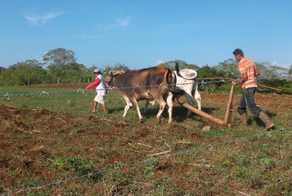 Make the U.S. government’s Feed the Future initiative permanent. Photo: Bread for the World