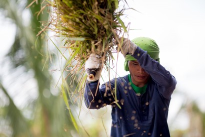 Photo by Joseph Molieri/Bread for the World.