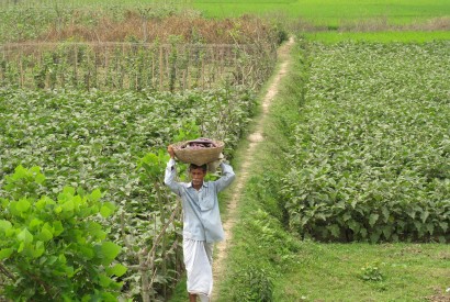 Bangladesh farmer. Todd Post for Bread for the World.
