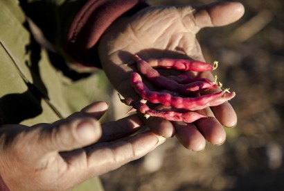 Mexican red beans. Laura Elizabeth Pohl/Bread for the World.