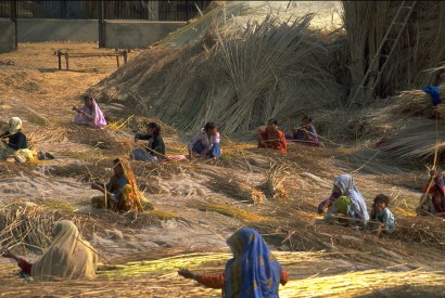 Indian women and children bundle grain stalks after the harvest. Margaret W. Nea for Bread for the World.