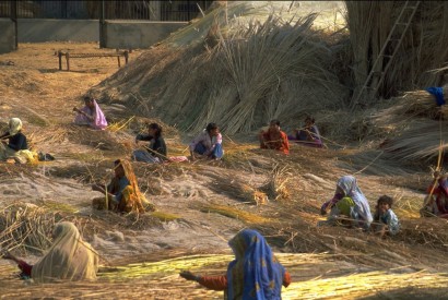  Indian women and children bundle grain stalks after the harvest. Margaret W. Nea for Bread for the World.