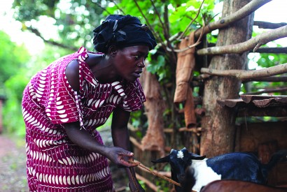 Jane Sebbi tends to her goats in Kamuli, Uganda. Laura Elizabeth Pohl/Bread for the World.