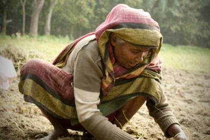 Woman farmer in Bangladesh. Photo by Shykh Seraj
