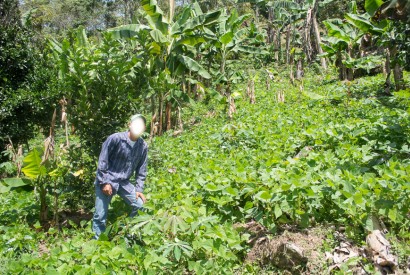 Photo: Miguel is using a pseudonym to protect himself and his family.