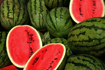Watermelons. Wikimedia Commons.
