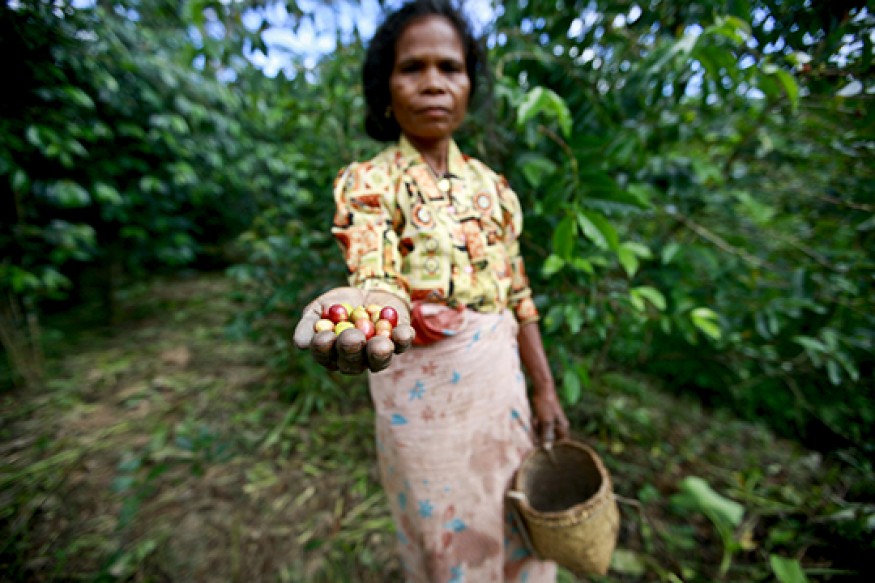 Bread can be a resource and partner with you to empower your family, church, social ministry committee, campus group, community network, or Bible study group to raise its voice to end hunger.   Photo: UN / Martine Perret