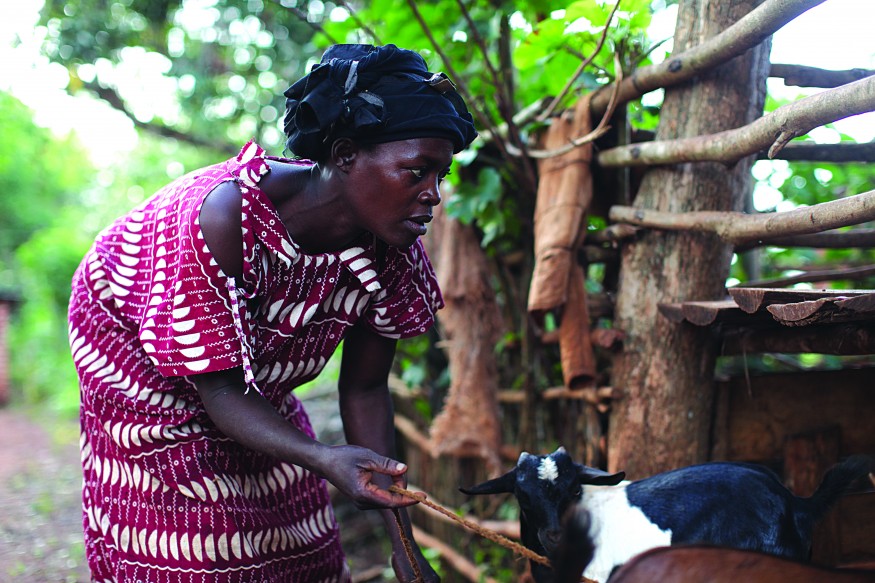 Jane Sebbi tends to her goats in Kamuli, Uganda. Laura Elizabeth Pohl/Bread for the World.