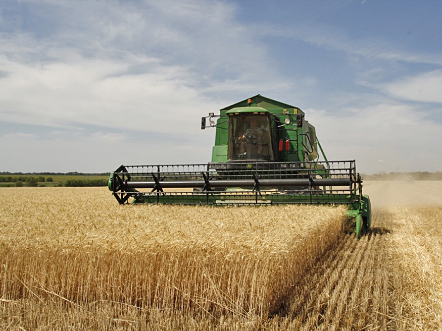 Wheat harvesting in Volgograd Oblast, Russia. volganet.ru