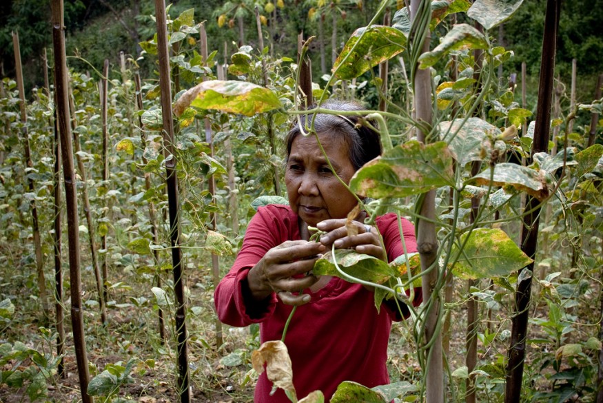 Woman farmer in the Philippines. Bread for the World.