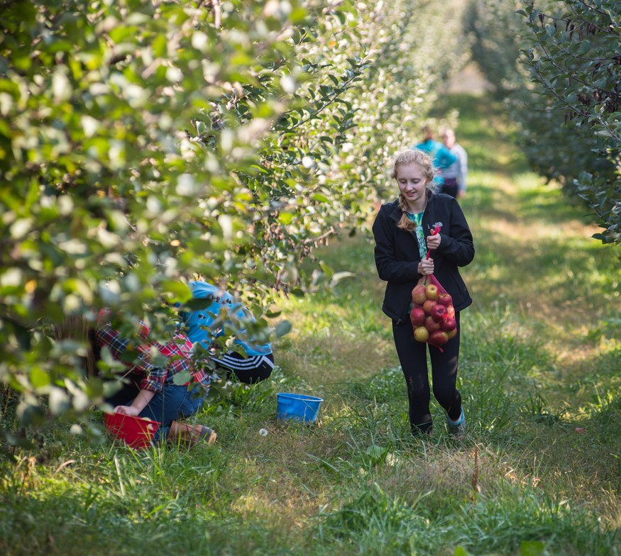 6 billion pounds of fresh produce goes unharvested or unsold each year in the United States. Photo by Lacey Johnson for Bread for the World