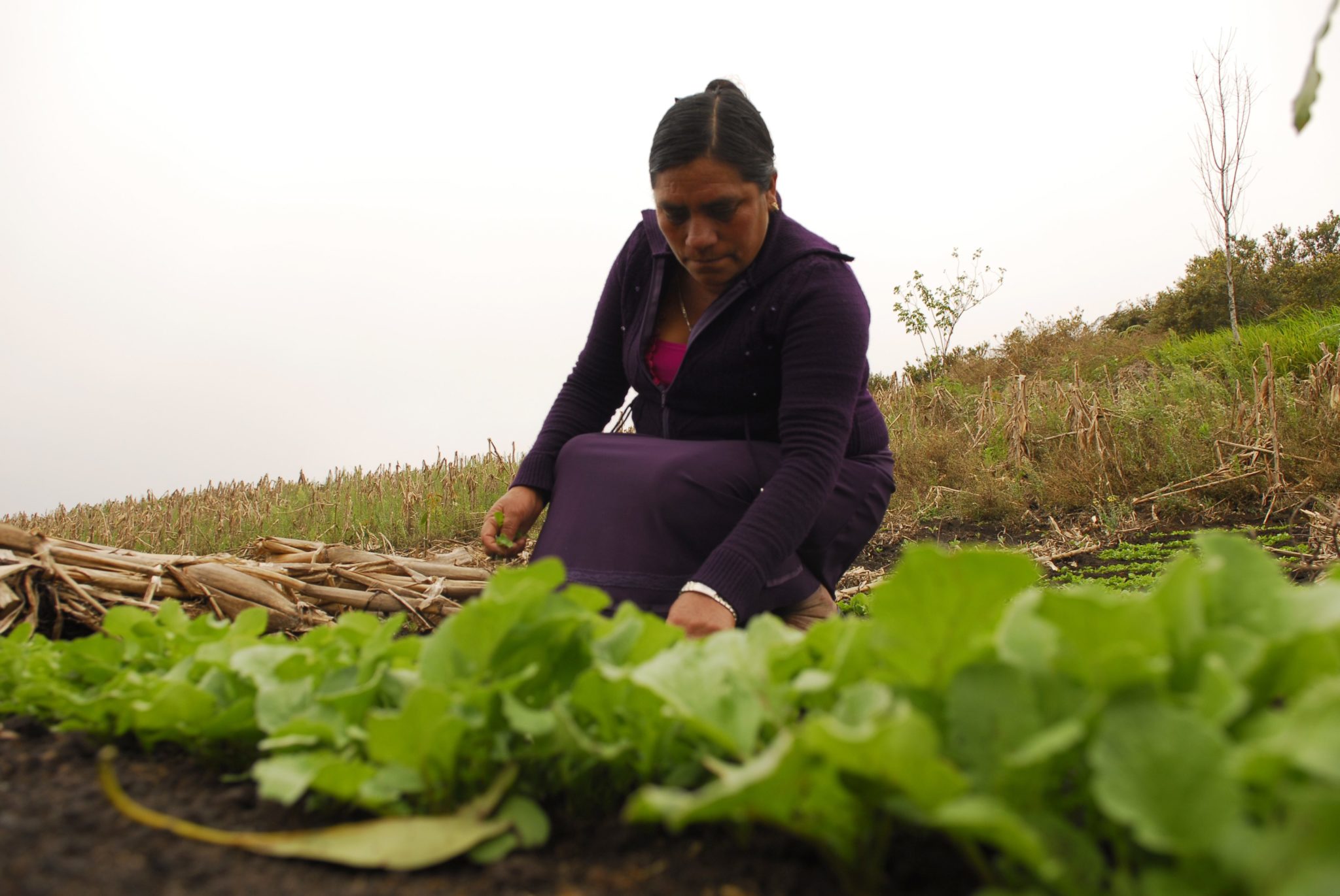 Esther, a Mexican farmer. Ivan Munoz/Oxfam