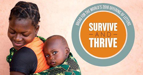 2016 Offering of Letters: Survive and Thrive