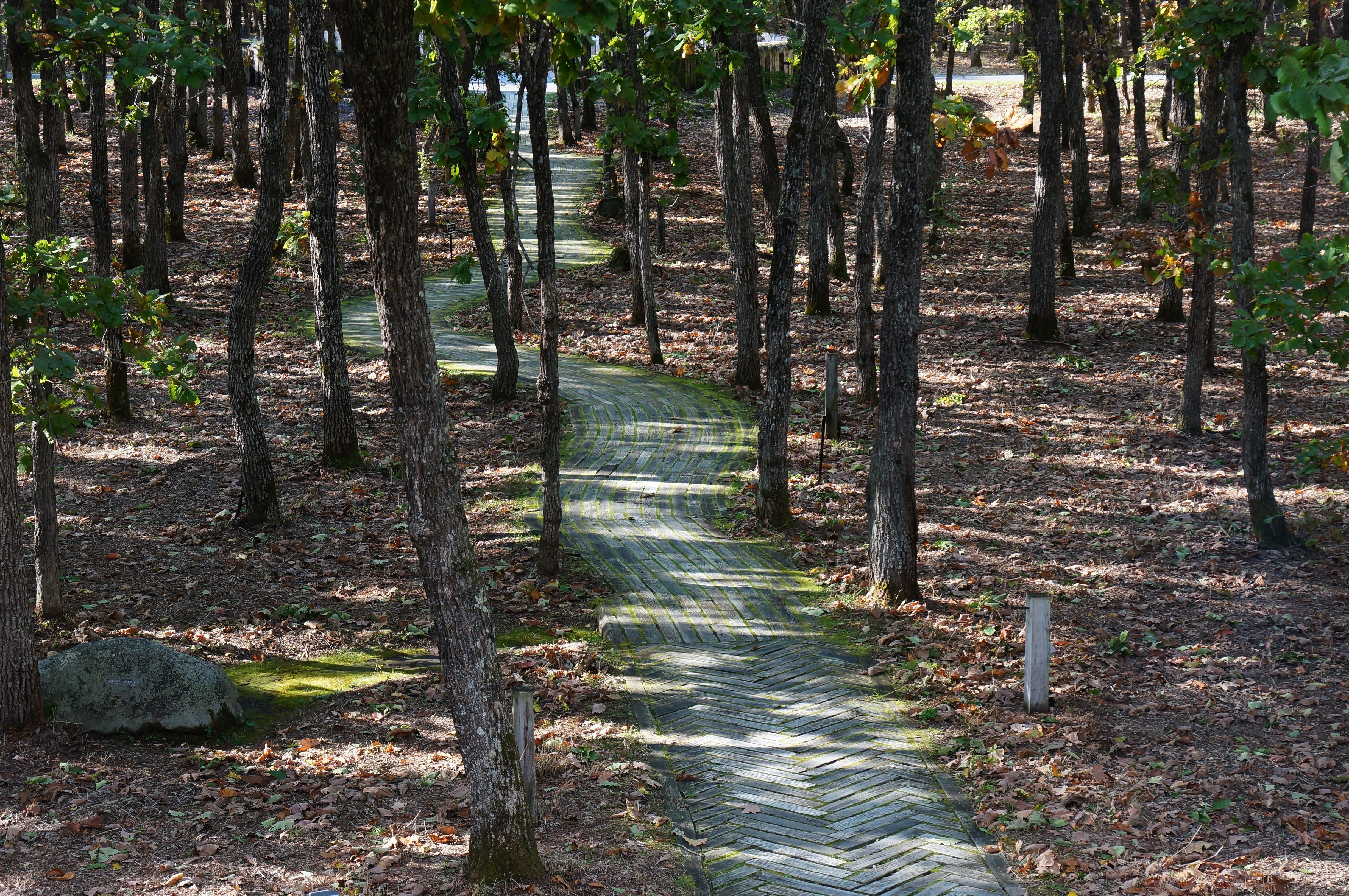 Nakasatsunai Art Village in Japan. Wikimedia Commons.