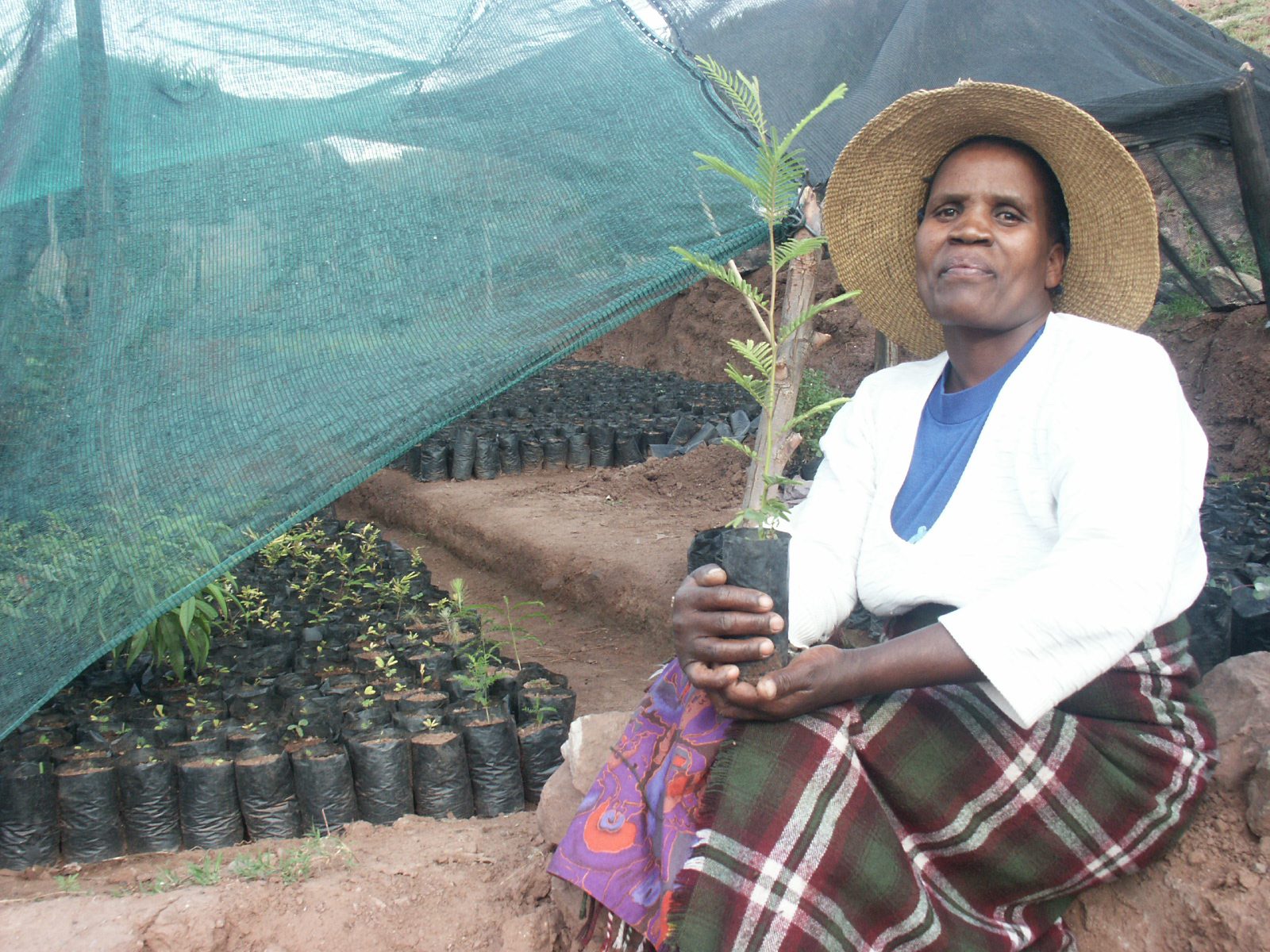 A woman in Lesotho. Stephen Padre/Bread for the World.