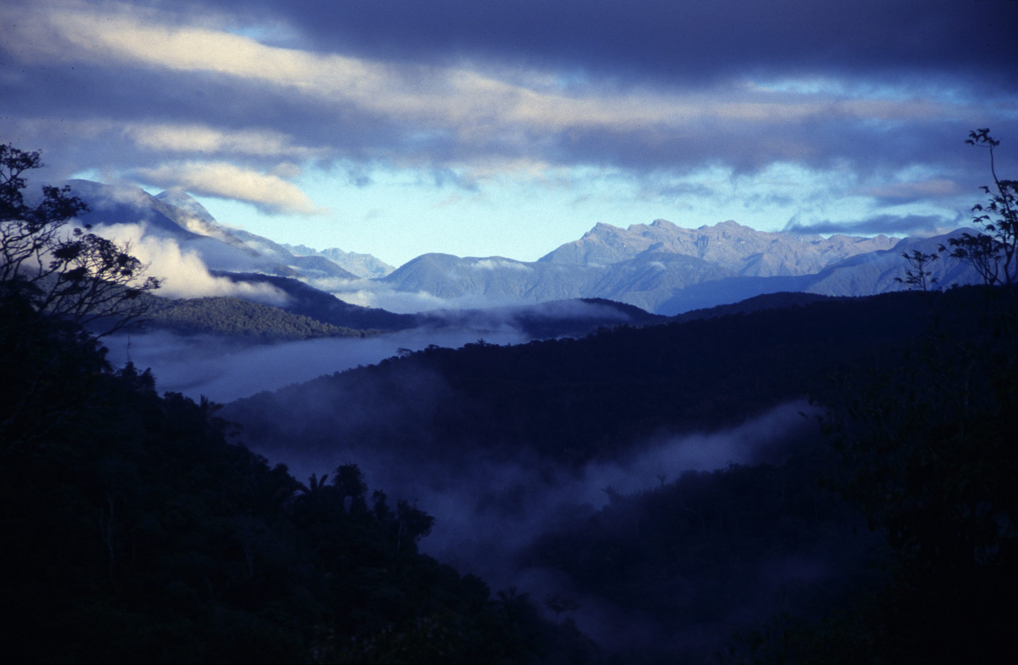 Madidi National Park in the upper Amazon river basin in Bolivia. Wikimedia Commons.