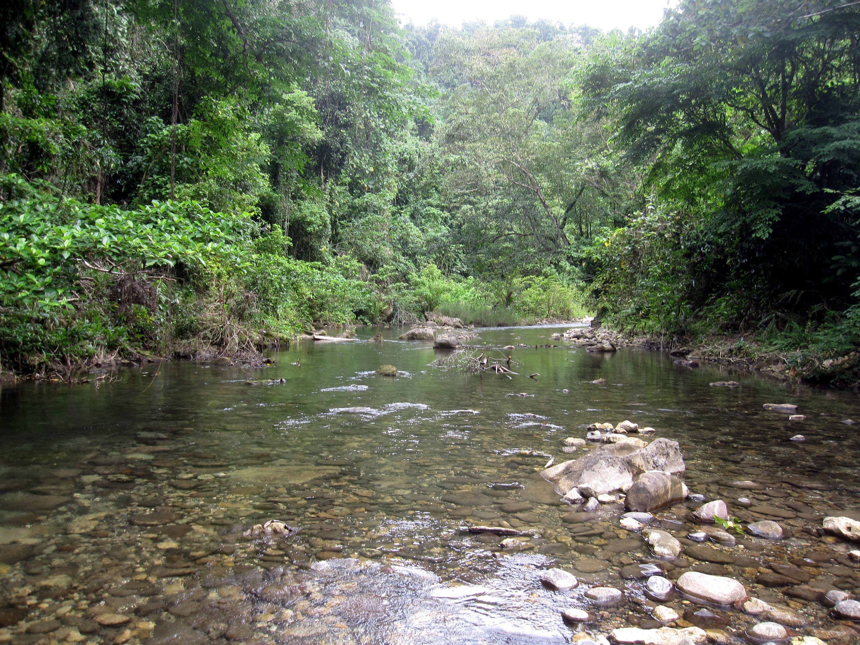 River in Guadalcanal, Solomon Islands. Wikimedia Commons.