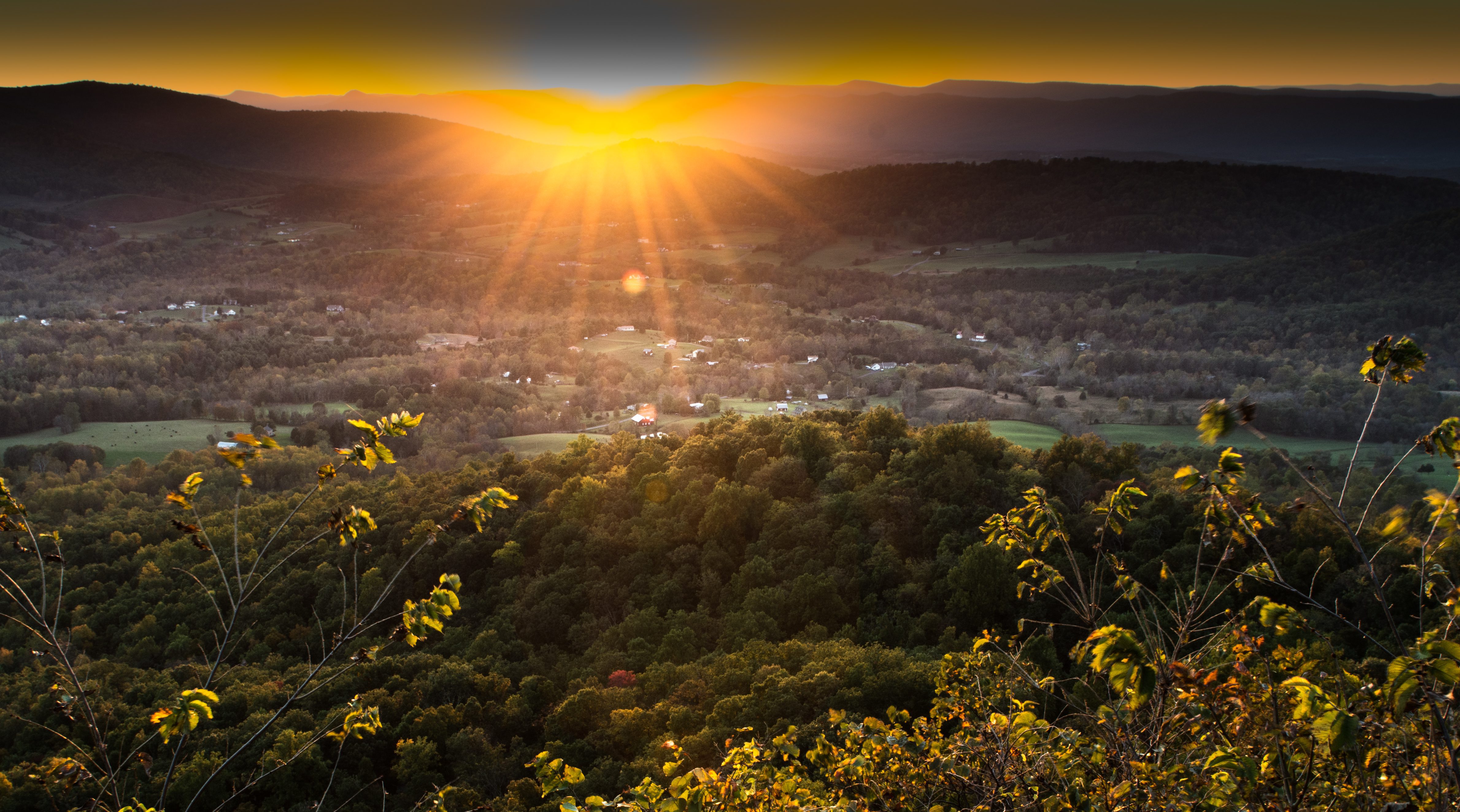 Photo courtesy of Howard Wilson.