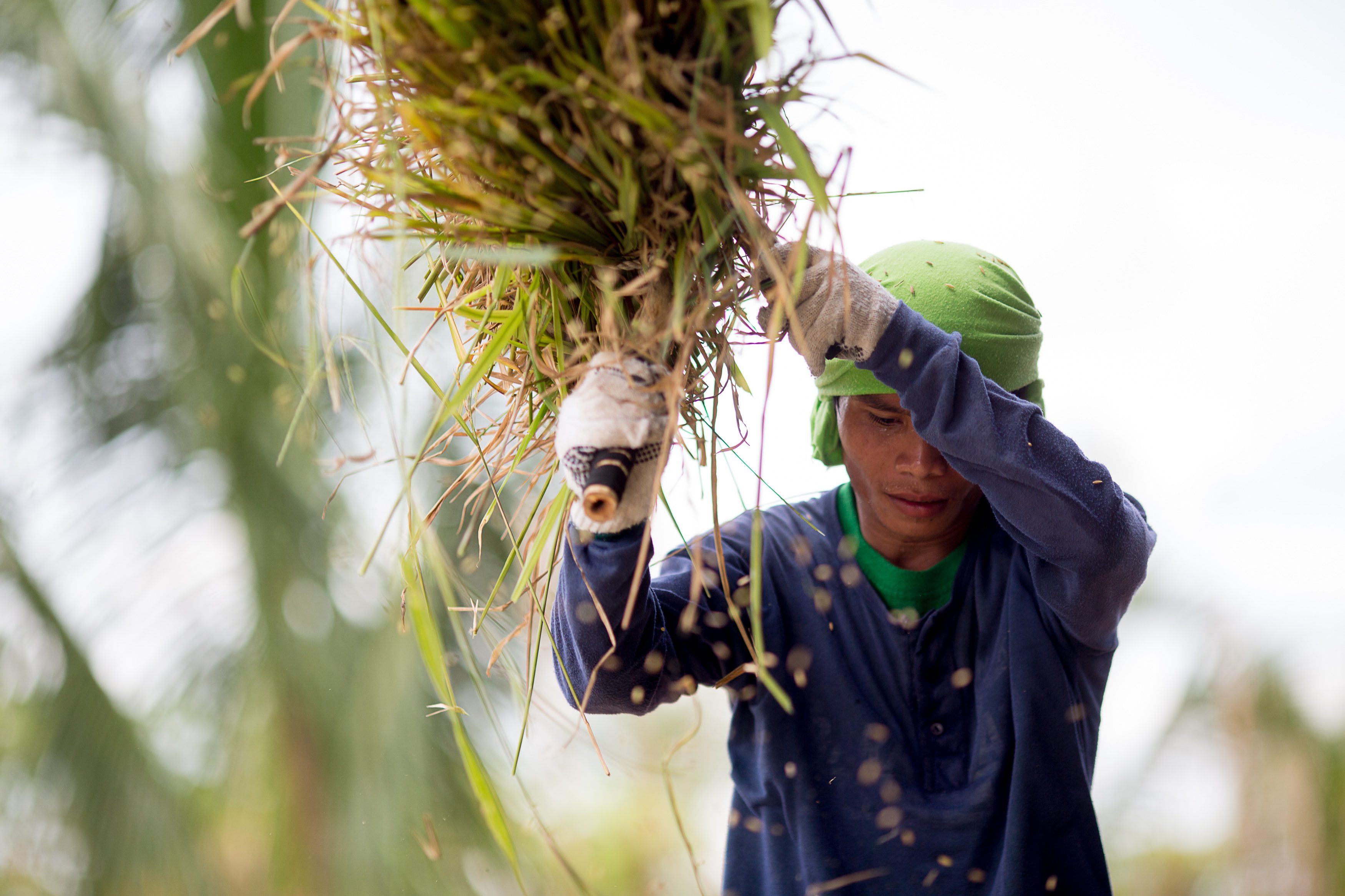 Photo by Joseph Molieri/Bread for the World.