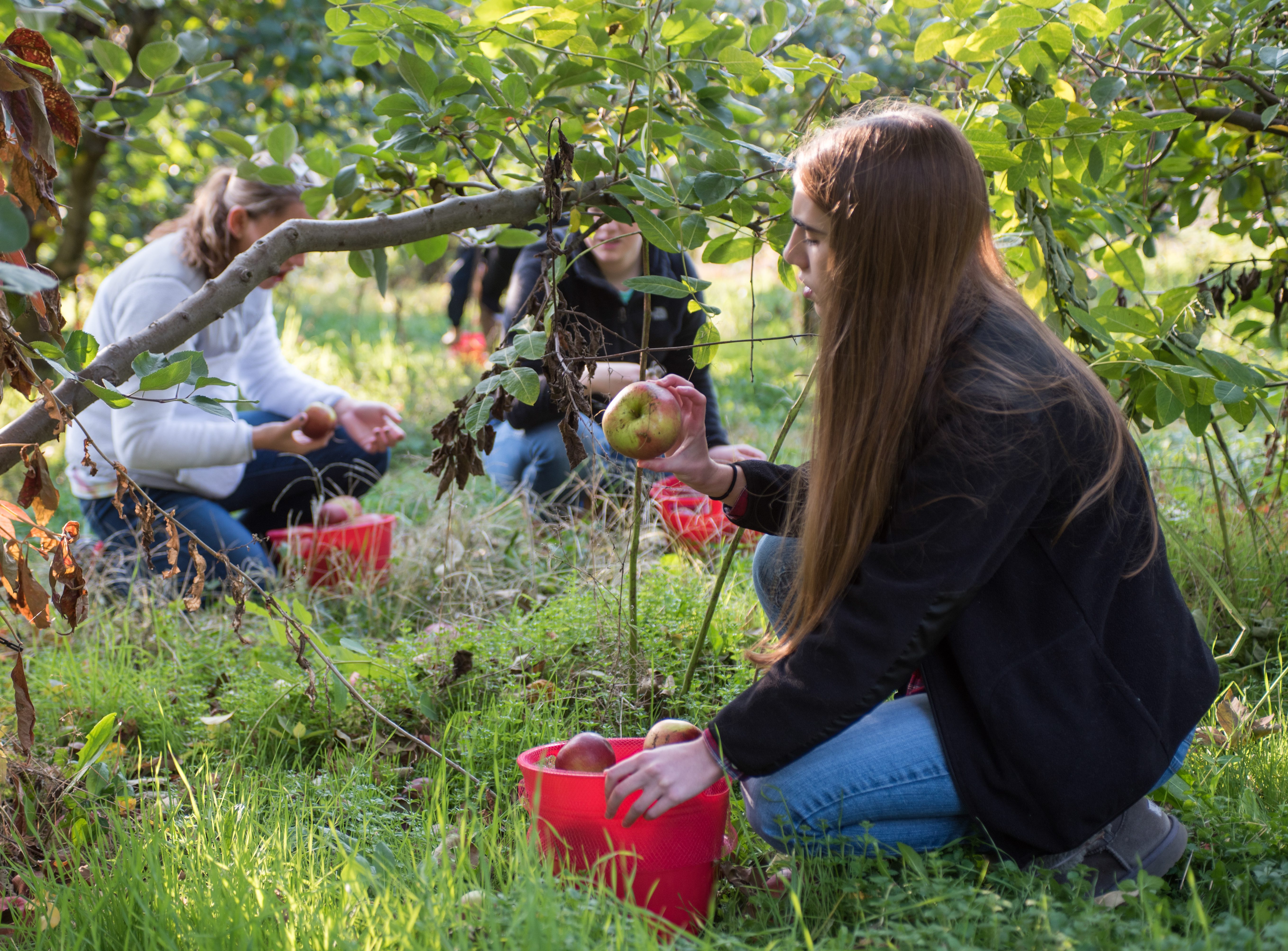 Photo by Lacey Johnson.