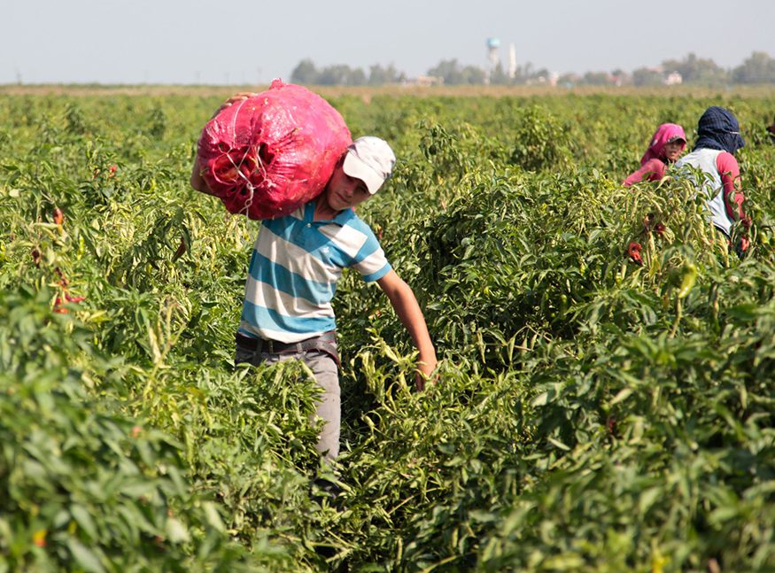 Child Labor @UNICEF Turkey/2016/Feyzioglu