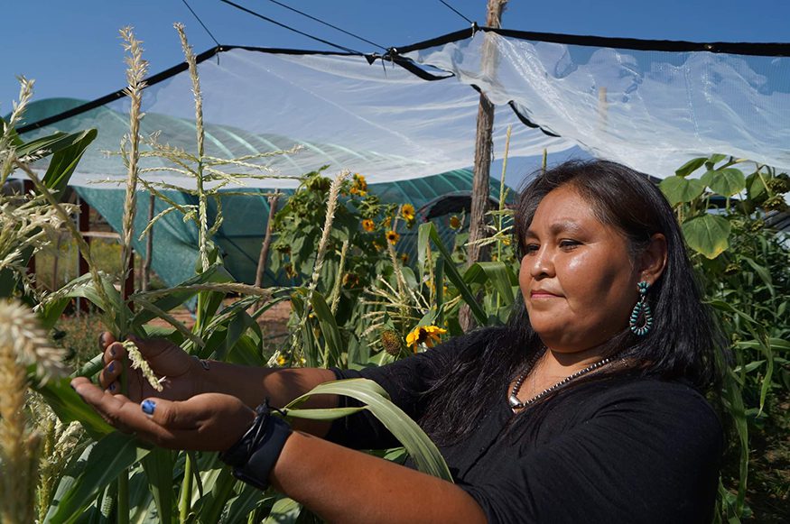 A woman collects seeds at Spirit Farm – a working demonstration farm on Navajo Nation in New Mexico. Photo credit Covenant Pathways.