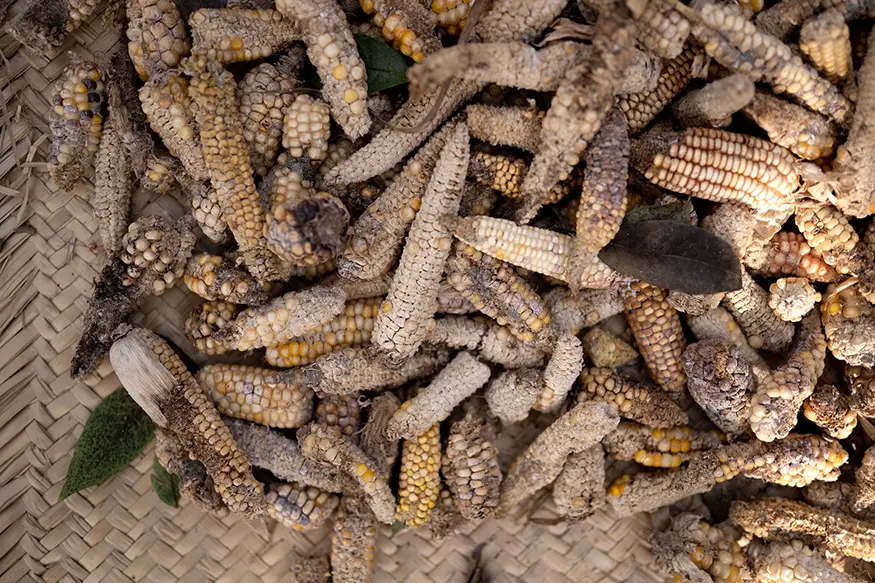 Years of below average rainfall have created a cycle of seasonal hunger in the Dry Corridor. Photo credit: ©European Union, 2020 (photographer: S. Billy)