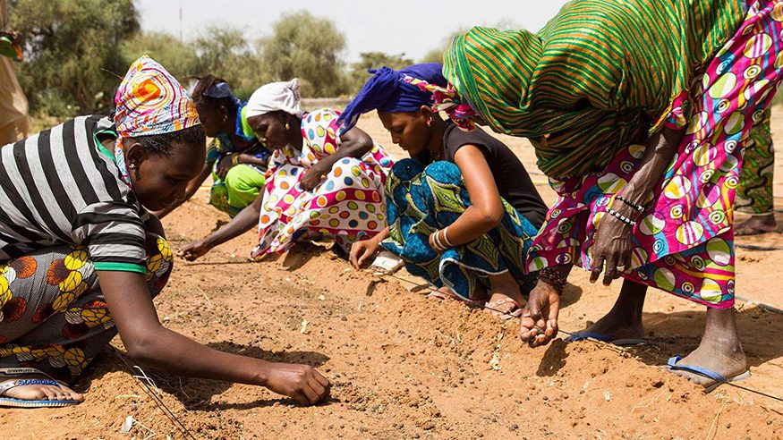 Women planting seeds in Sahel region. Photo credit: ©GGW Initiative