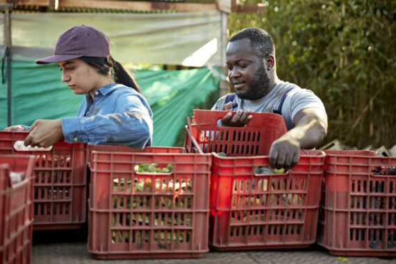 two people moving food in crates